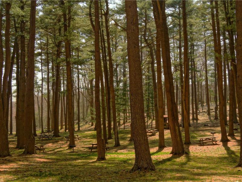 sudoku pattern learning screenshot 2